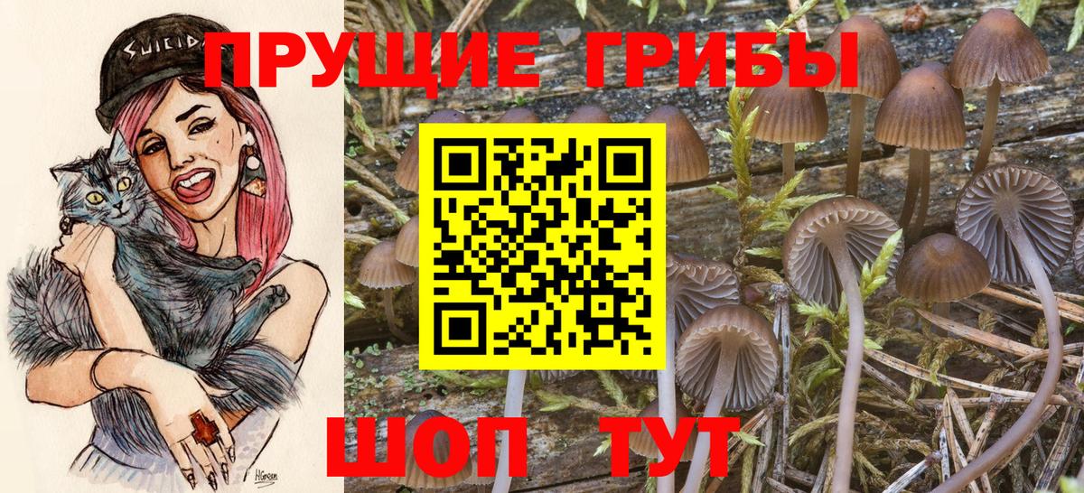Углич  Галлюциногенные грибы мицелий  Вход с VPN 
